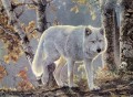 白樺のオオカミ